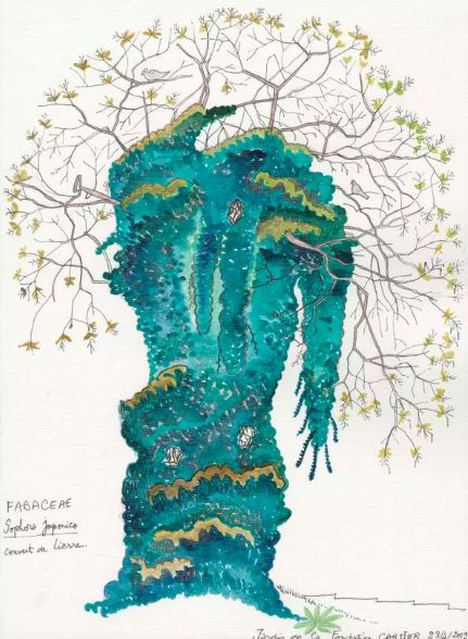ARBRE