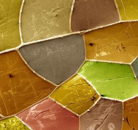 microscopique ou macrosopique